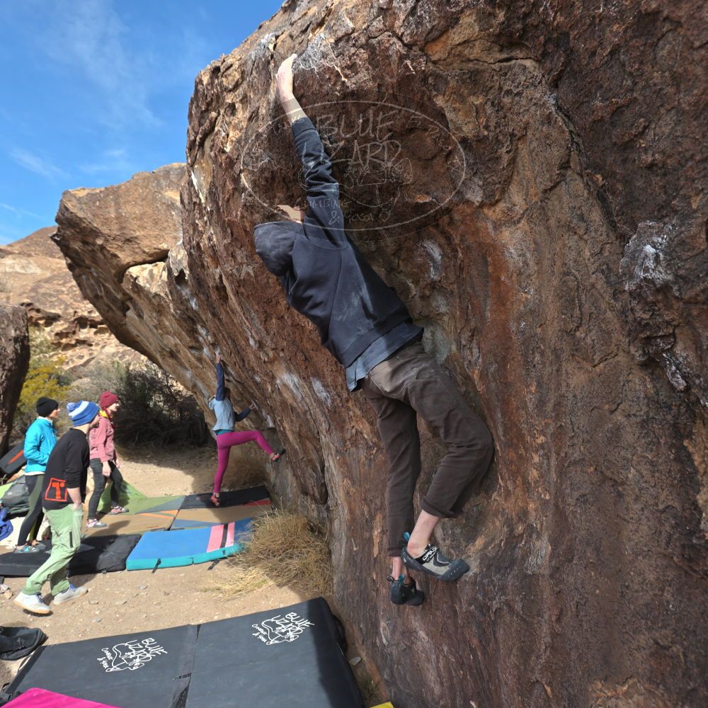 Filename: SRM_20230115_1134240.jpg
Aperture: f/5.6
Shutter Speed: 1/800
Body: Canon EOS R6
Lens: Canon EF 16-35mm f/2.8 L