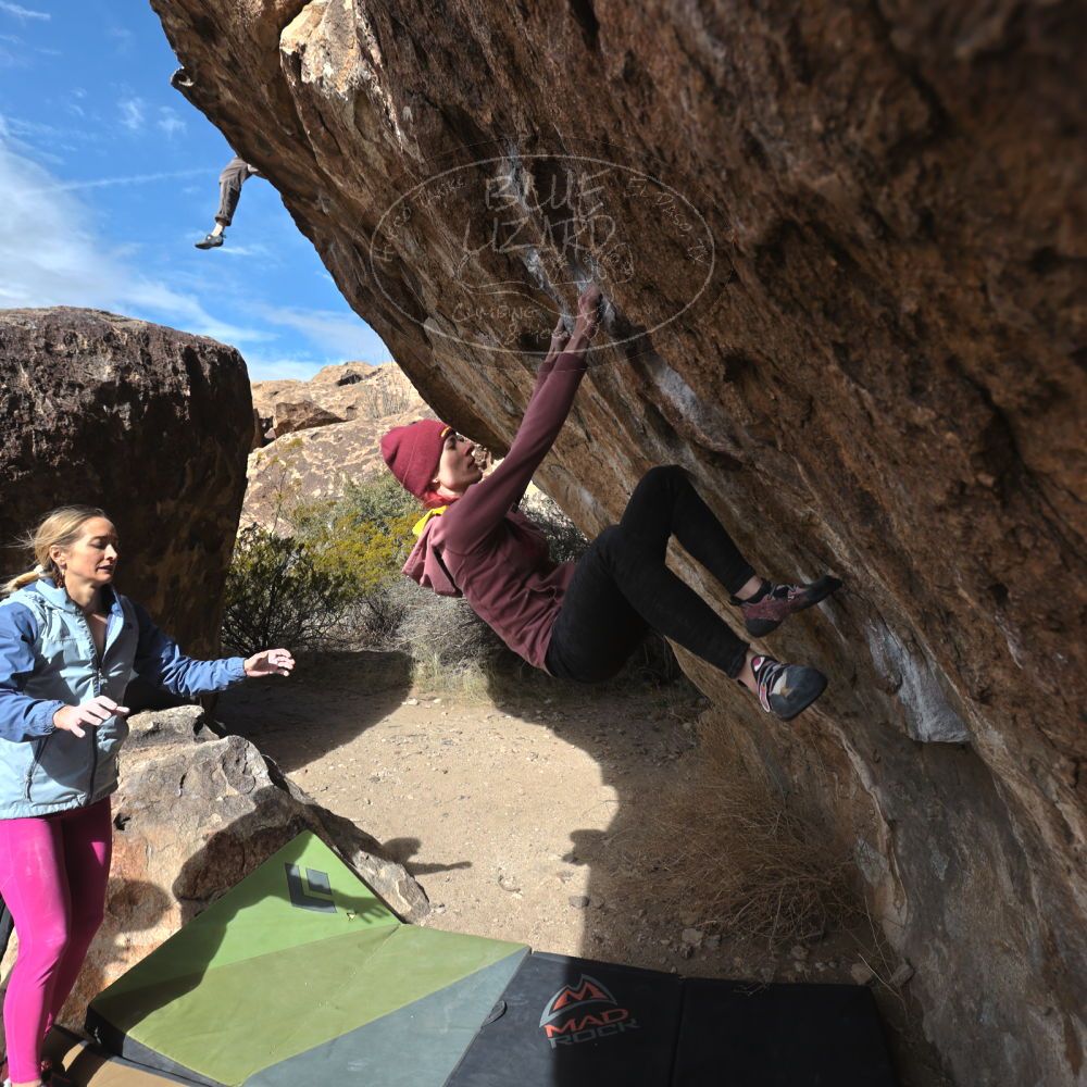 Filename: SRM_20230115_1135040.jpg
Aperture: f/5.6
Shutter Speed: 1/800
Body: Canon EOS R6
Lens: Canon EF 16-35mm f/2.8 L