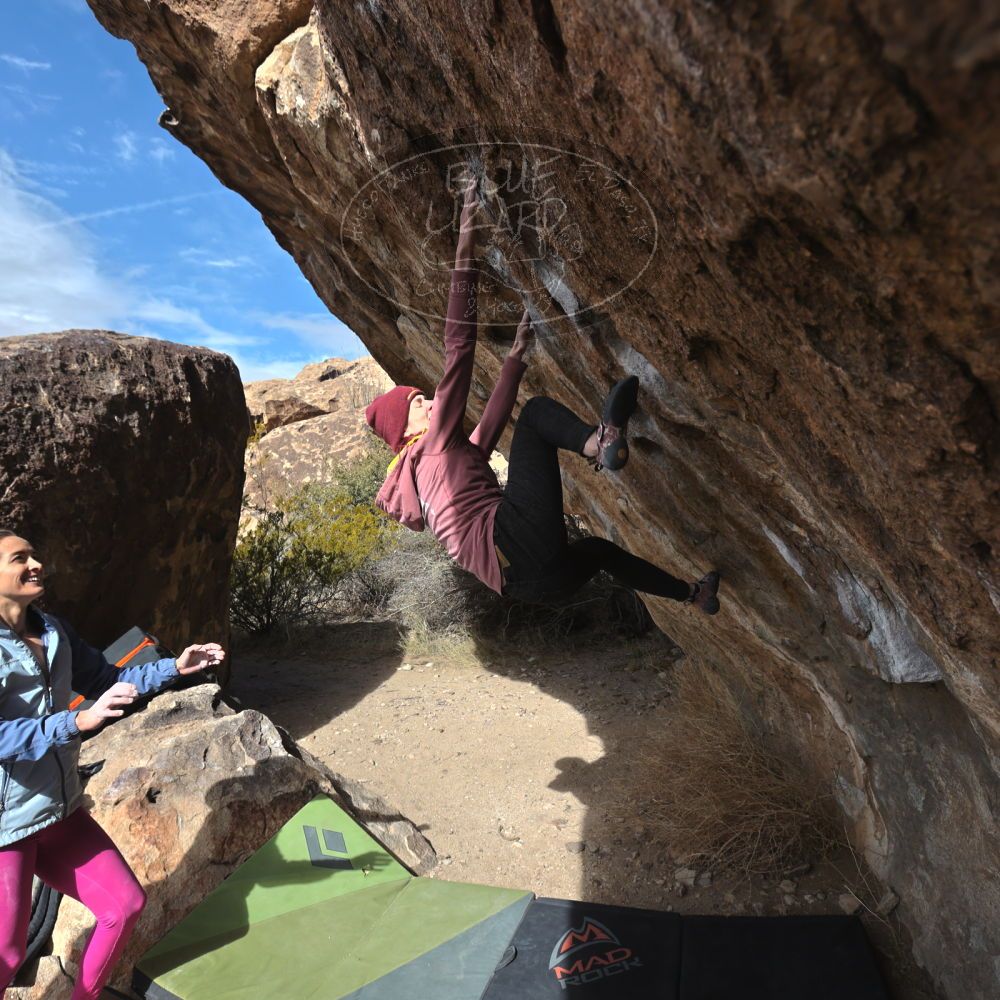 Filename: SRM_20230115_1135090.jpg
Aperture: f/5.6
Shutter Speed: 1/800
Body: Canon EOS R6
Lens: Canon EF 16-35mm f/2.8 L