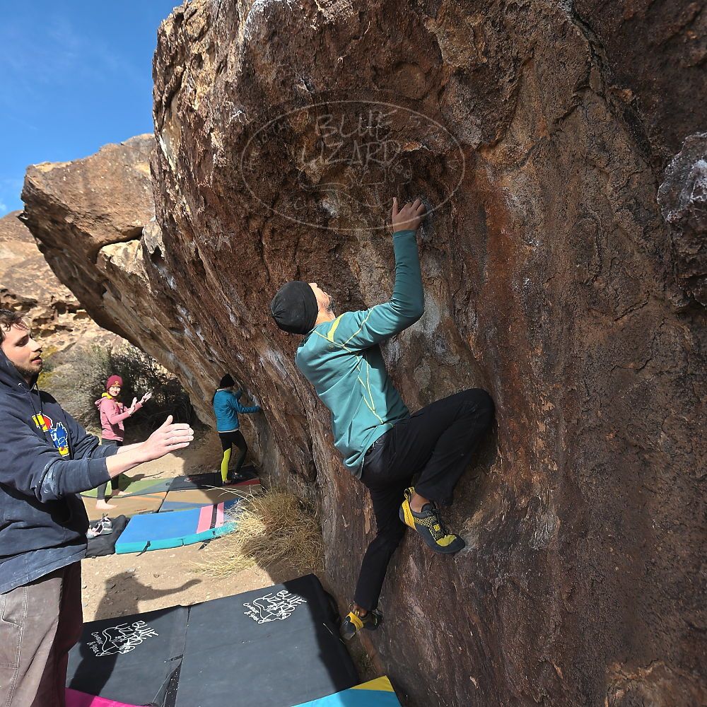 Filename: SRM_20230115_1136300.jpg
Aperture: f/5.6
Shutter Speed: 1/800
Body: Canon EOS R6
Lens: Canon EF 16-35mm f/2.8 L