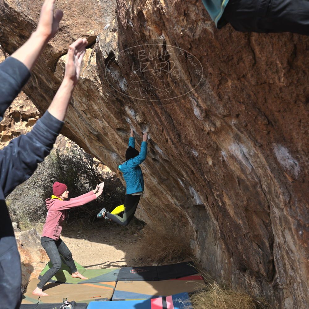 Filename: SRM_20230115_1136560.jpg
Aperture: f/5.6
Shutter Speed: 1/800
Body: Canon EOS R6
Lens: Canon EF 16-35mm f/2.8 L