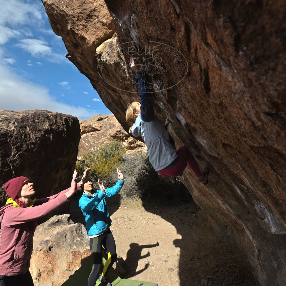 Filename: SRM_20230115_1140270.jpg
Aperture: f/5.6
Shutter Speed: 1/800
Body: Canon EOS R6
Lens: Canon EF 16-35mm f/2.8 L