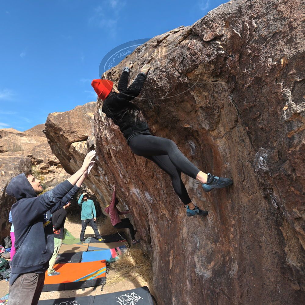 Filename: SRM_20230115_1145190.jpg
Aperture: f/5.6
Shutter Speed: 1/800
Body: Canon EOS R6
Lens: Canon EF 16-35mm f/2.8 L