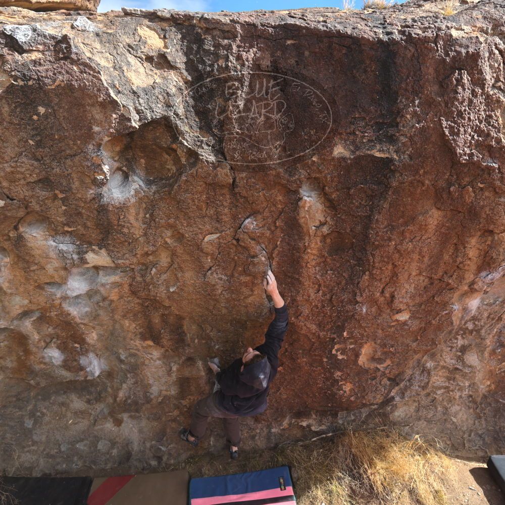 Filename: SRM_20230115_1146480.jpg
Aperture: f/5.6
Shutter Speed: 1/800
Body: Canon EOS R6
Lens: Canon EF 16-35mm f/2.8 L