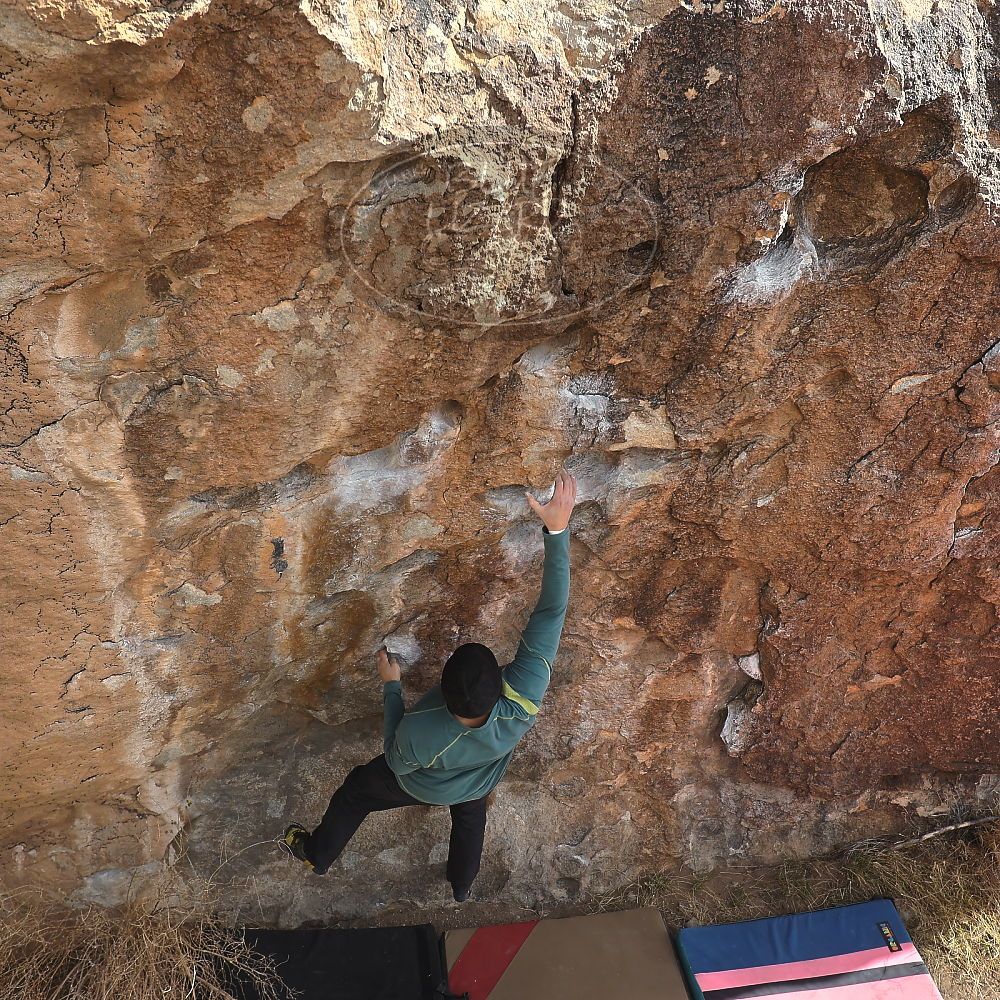 Filename: SRM_20230115_1150260.jpg
Aperture: f/5.6
Shutter Speed: 1/800
Body: Canon EOS R6
Lens: Canon EF 16-35mm f/2.8 L