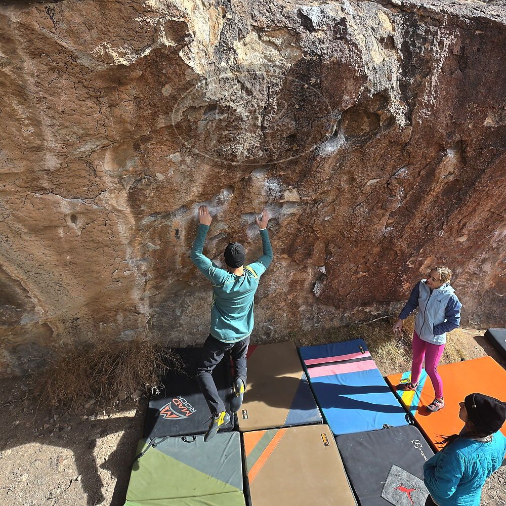 Filename: SRM_20230115_1150310.jpg
Aperture: f/5.6
Shutter Speed: 1/800
Body: Canon EOS R6
Lens: Canon EF 16-35mm f/2.8 L