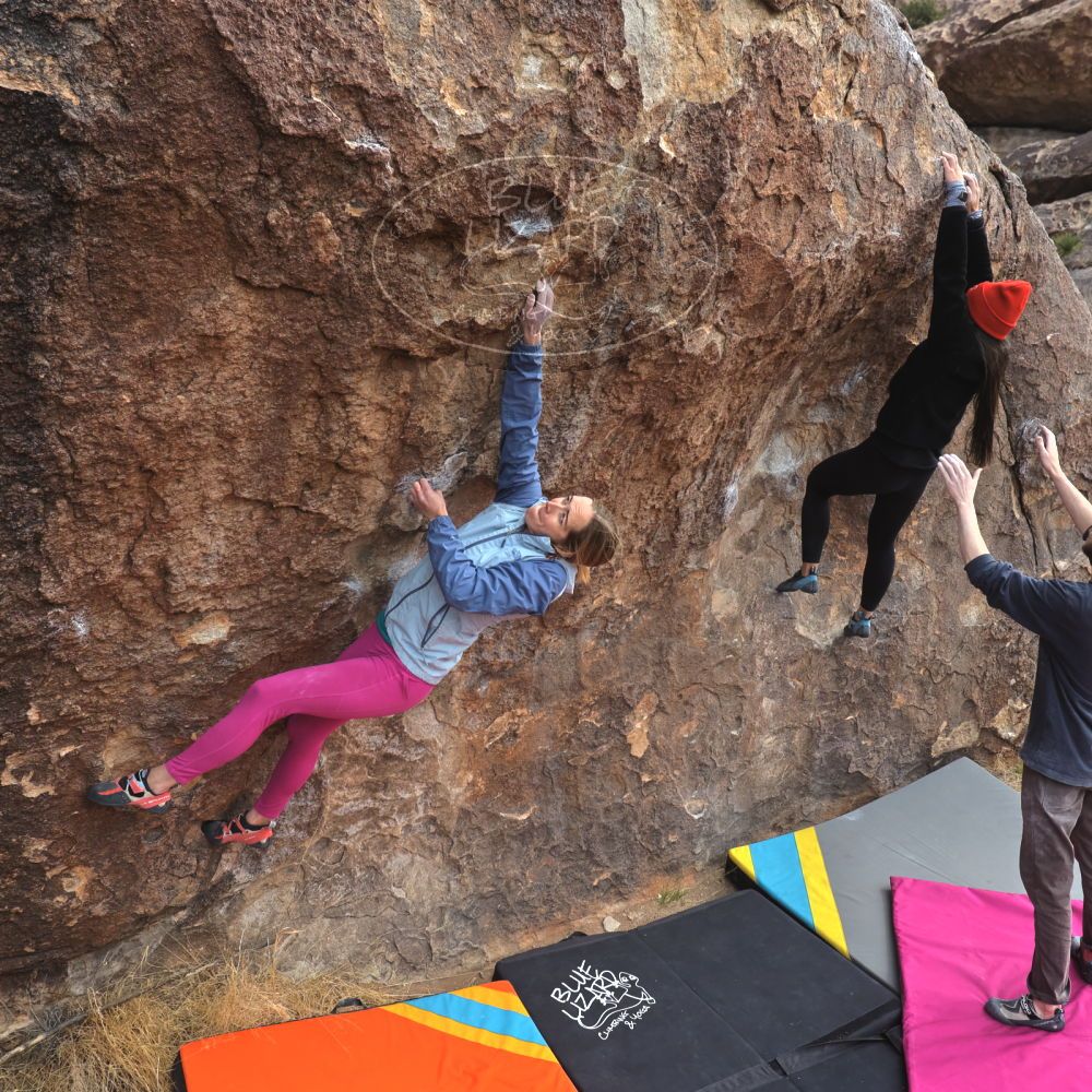 Filename: SRM_20230115_1157040.jpg
Aperture: f/5.6
Shutter Speed: 1/800
Body: Canon EOS R6
Lens: Canon EF 16-35mm f/2.8 L