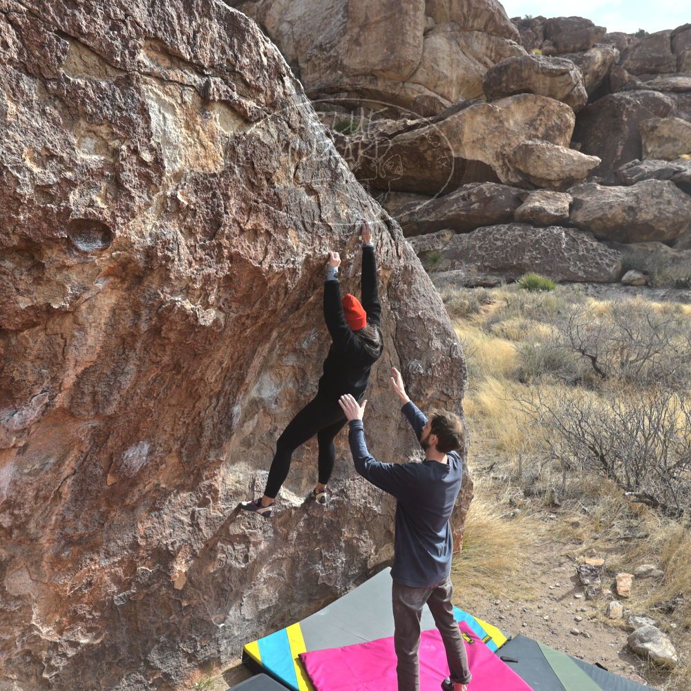 Filename: SRM_20230115_1215580.jpg
Aperture: f/5.6
Shutter Speed: 1/800
Body: Canon EOS R6
Lens: Canon EF 16-35mm f/2.8 L