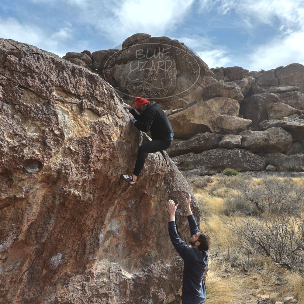 Filename: SRM_20230115_1216270.jpg
Aperture: f/5.6
Shutter Speed: 1/800
Body: Canon EOS R6
Lens: Canon EF 16-35mm f/2.8 L