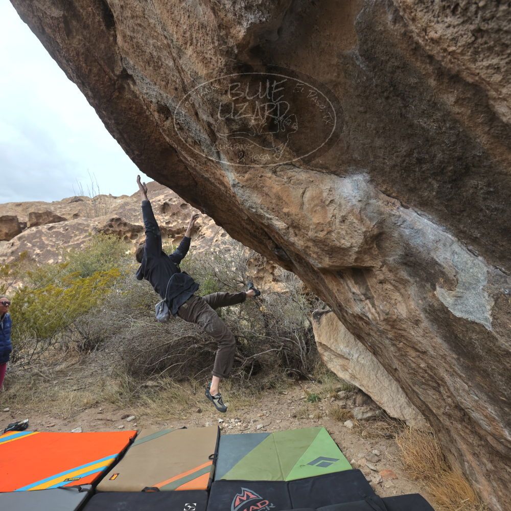 Filename: SRM_20230115_1228390.jpg
Aperture: f/5.6
Shutter Speed: 1/1000
Body: Canon EOS R6
Lens: Canon EF 16-35mm f/2.8 L