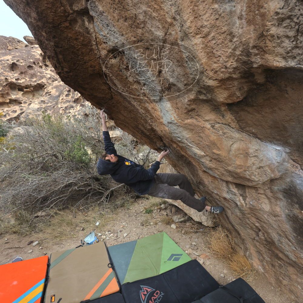 Filename: SRM_20230115_1231021.jpg
Aperture: f/5.6
Shutter Speed: 1/1000
Body: Canon EOS R6
Lens: Canon EF 16-35mm f/2.8 L