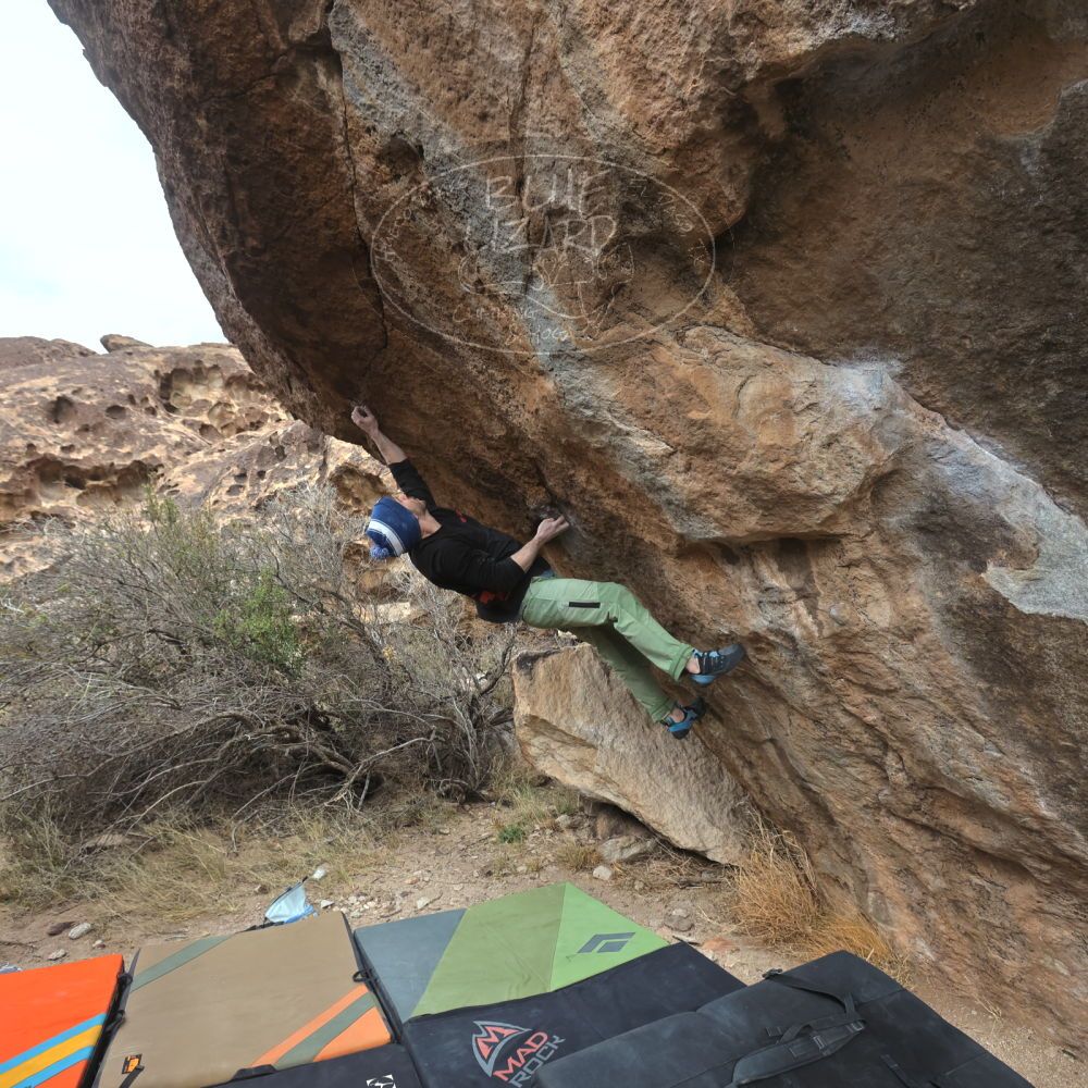 

Filename: SRM_20230115_1232100.jpg
Aperture: f/5.6
Shutter Speed: 1/1000
Body: Canon EOS R6
Lens: Canon EF 16-35mm f/2.8 L