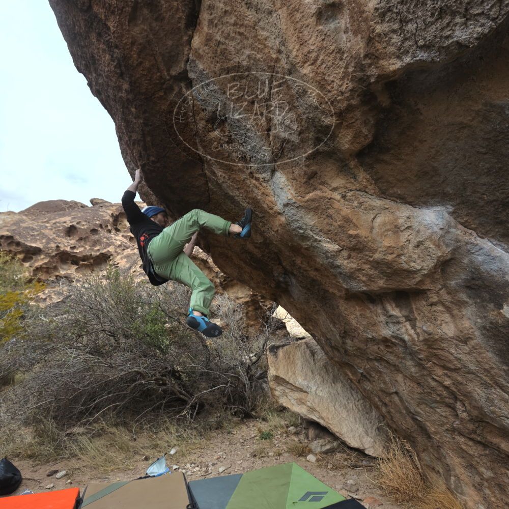 Filename: SRM_20230115_1232166.jpg
Aperture: f/5.6
Shutter Speed: 1/1000
Body: Canon EOS R6
Lens: Canon EF 16-35mm f/2.8 L