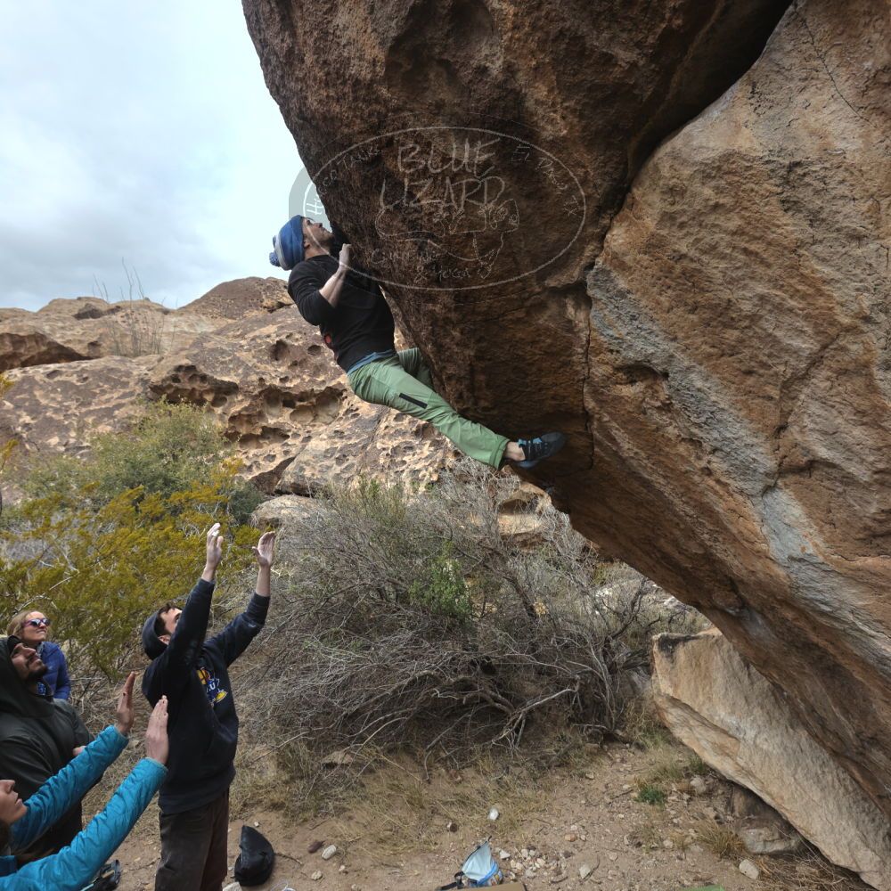 Filename: SRM_20230115_1232330.jpg
Aperture: f/5.6
Shutter Speed: 1/1000
Body: Canon EOS R6
Lens: Canon EF 16-35mm f/2.8 L