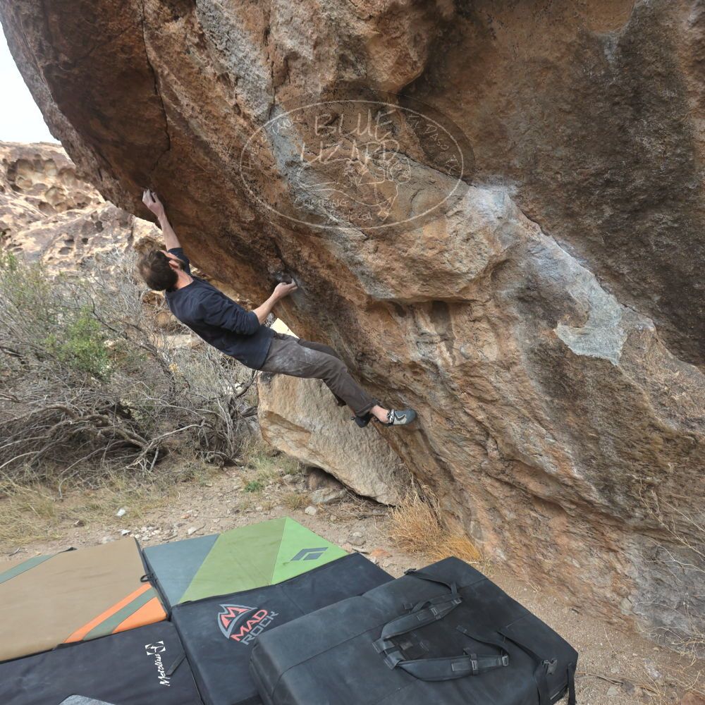 Filename: SRM_20230115_1235310.jpg
Aperture: f/5.6
Shutter Speed: 1/1000
Body: Canon EOS R6
Lens: Canon EF 16-35mm f/2.8 L