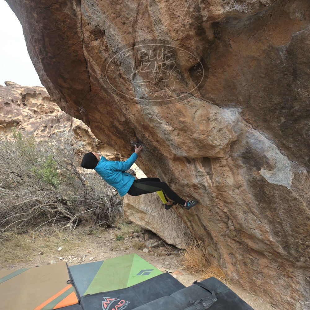 Filename: SRM_20230115_1237130.jpg
Aperture: f/5.6
Shutter Speed: 1/1000
Body: Canon EOS R6
Lens: Canon EF 16-35mm f/2.8 L