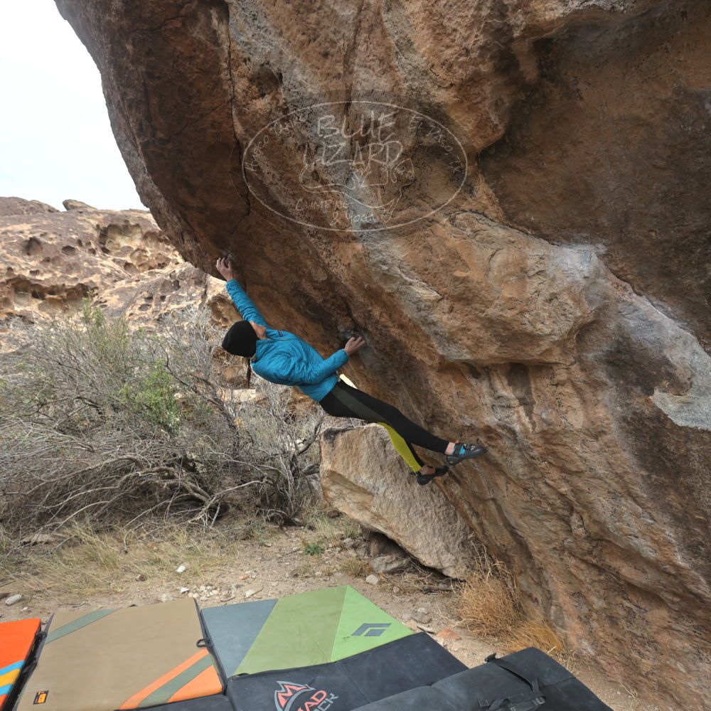 

Filename: SRM_20230115_1237150.jpg
Aperture: f/5.6
Shutter Speed: 1/1000
Body: Canon EOS R6
Lens: Canon EF 16-35mm f/2.8 L