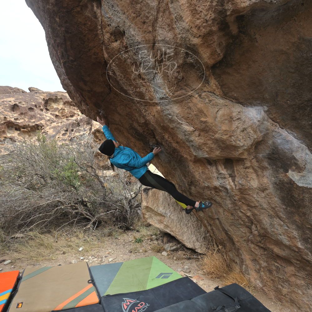 

Filename: SRM_20230115_1237151.jpg
Aperture: f/5.6
Shutter Speed: 1/1000
Body: Canon EOS R6
Lens: Canon EF 16-35mm f/2.8 L