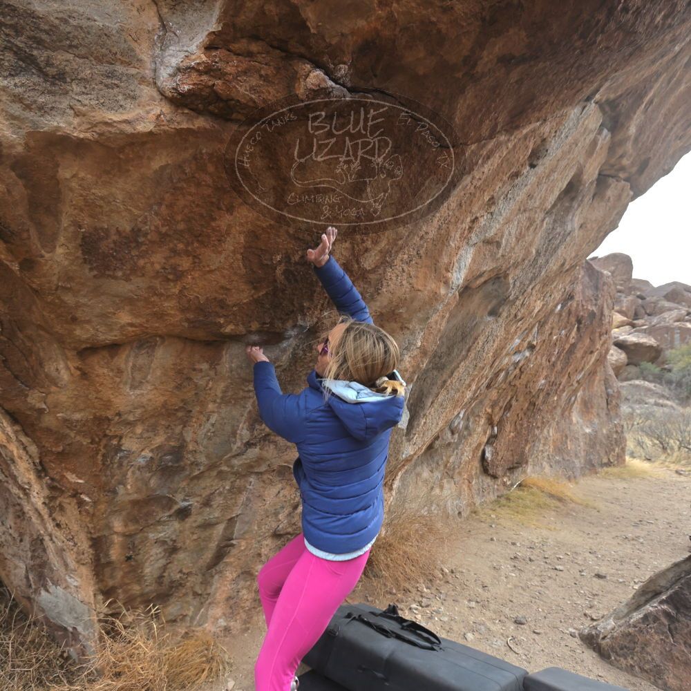 Filename: SRM_20230115_1239030.jpg
Aperture: f/5.6
Shutter Speed: 1/1000
Body: Canon EOS R6
Lens: Canon EF 16-35mm f/2.8 L