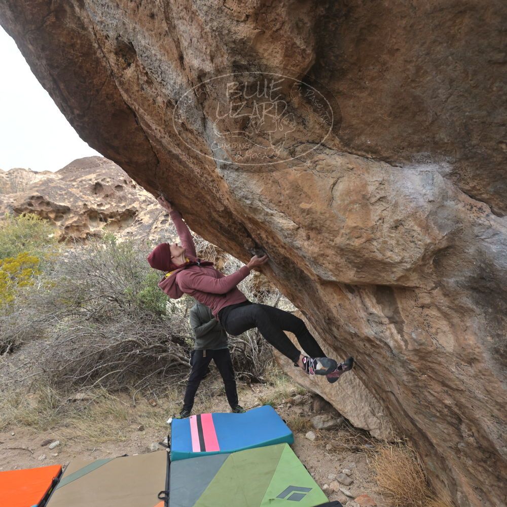 Filename: SRM_20230115_1239450.jpg
Aperture: f/5.6
Shutter Speed: 1/1000
Body: Canon EOS R6
Lens: Canon EF 16-35mm f/2.8 L