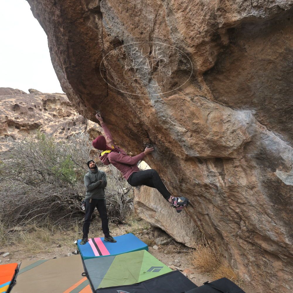 Filename: SRM_20230115_1240570.jpg
Aperture: f/5.6
Shutter Speed: 1/1000
Body: Canon EOS R6
Lens: Canon EF 16-35mm f/2.8 L