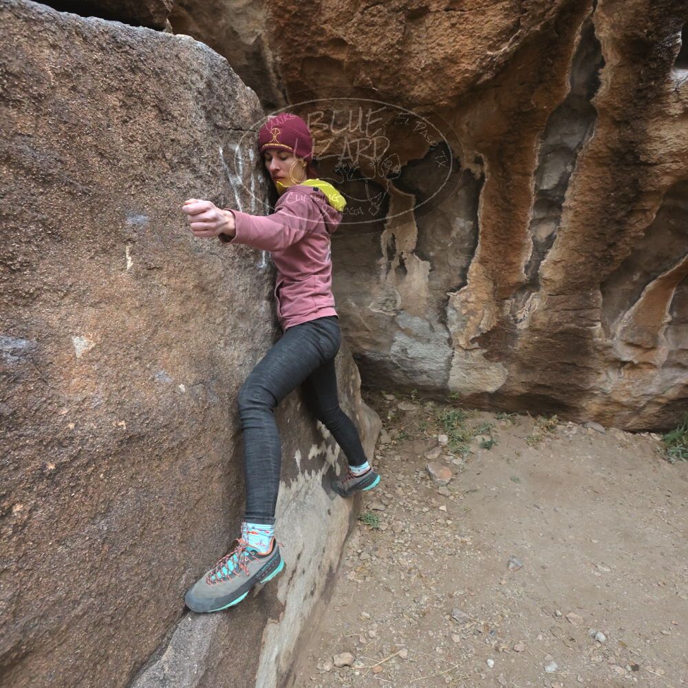 Filename: SRM_20230115_1312281.jpg
Aperture: f/5.6
Shutter Speed: 1/1000
Body: Canon EOS R6
Lens: Canon EF 16-35mm f/2.8 L