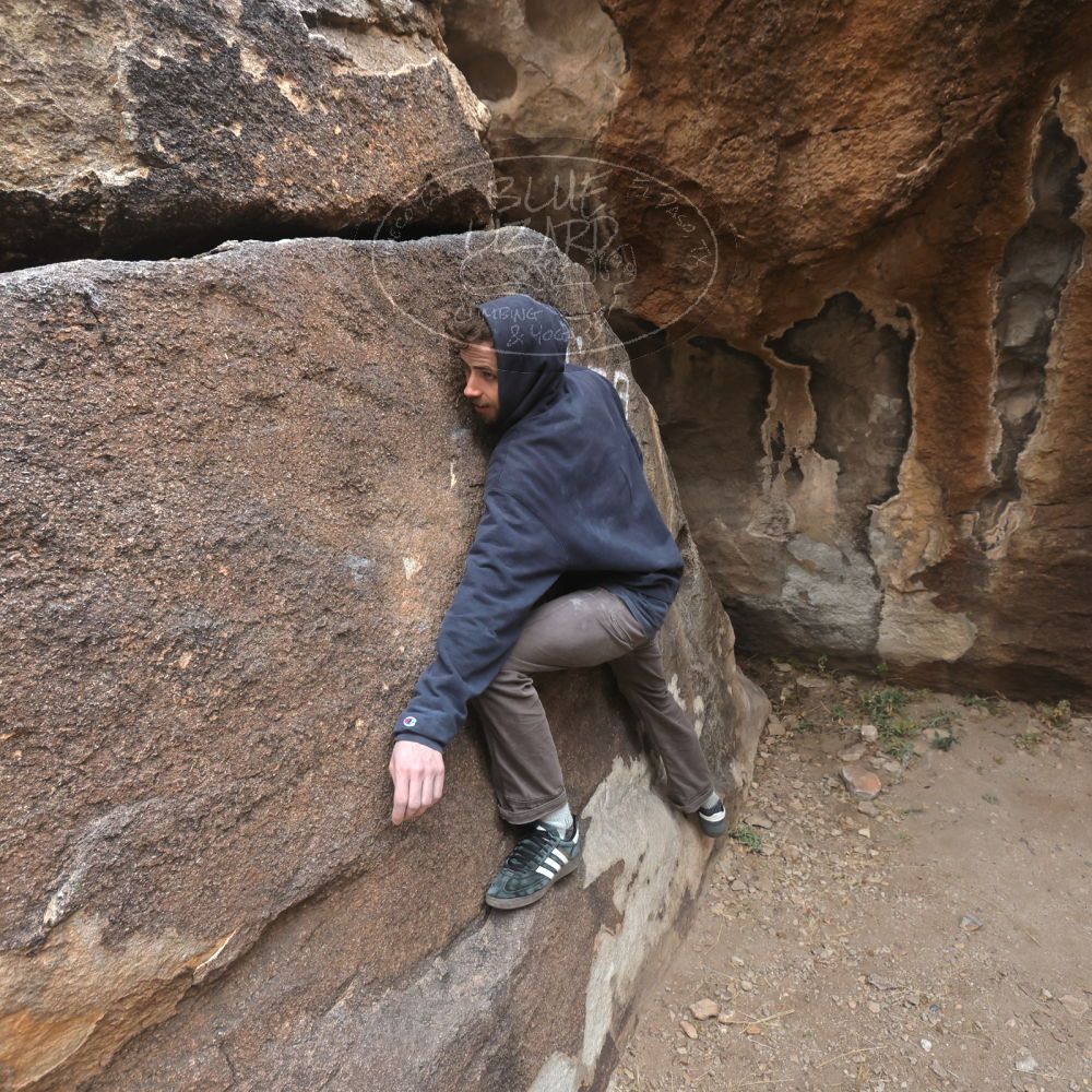 

Filename: SRM_20230115_1315370.jpg
Aperture: f/5.6
Shutter Speed: 1/320
Body: Canon EOS R6
Lens: Canon EF 16-35mm f/2.8 L