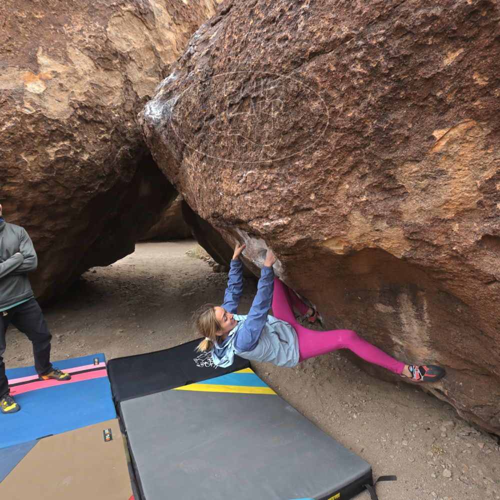 Filename: SRM_20230115_1323110.jpg
Aperture: f/5.6
Shutter Speed: 1/320
Body: Canon EOS R6
Lens: Canon EF 16-35mm f/2.8 L