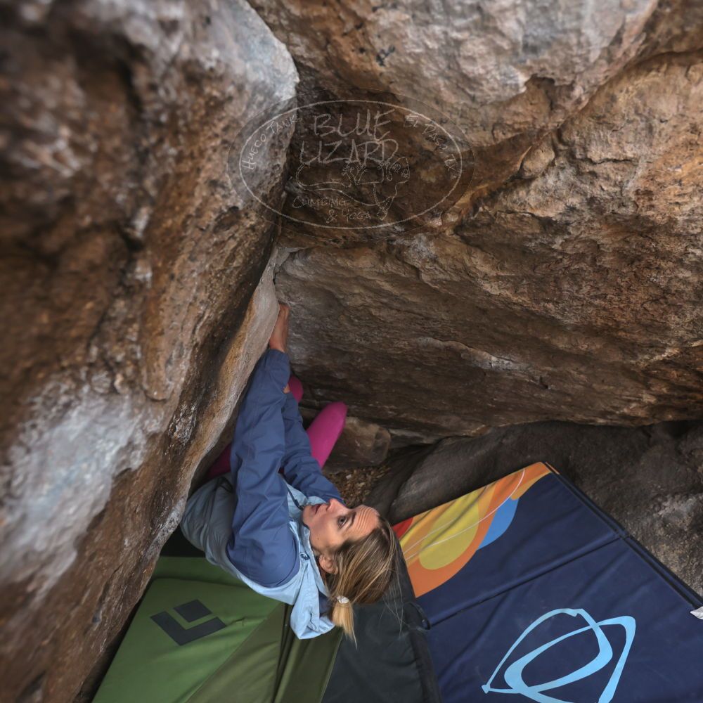 Filename: SRM_20230115_1336130.jpg
Aperture: f/4.0
Shutter Speed: 1/320
Body: Canon EOS R6
Lens: Canon EF 16-35mm f/2.8 L