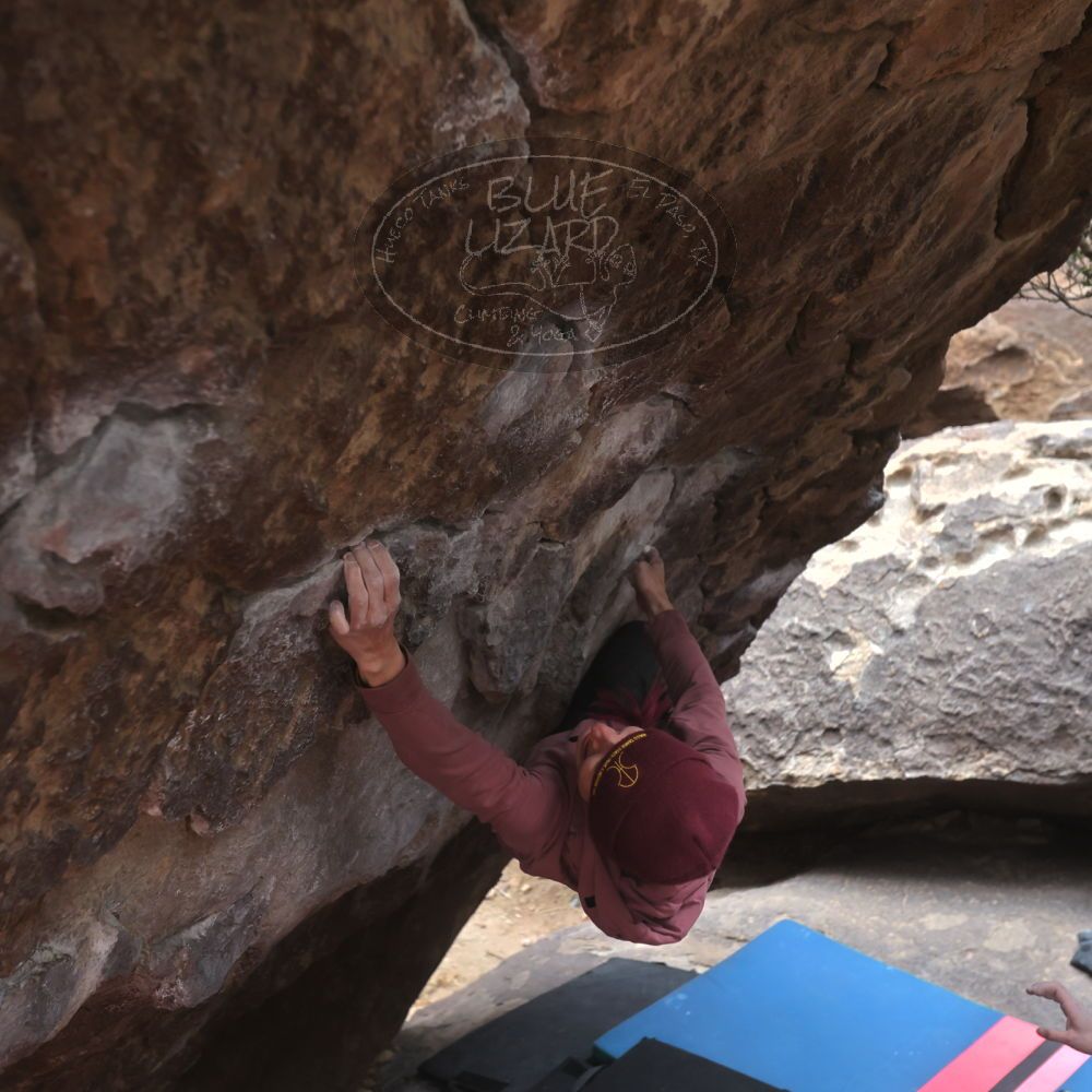 

Filename: SRM_20230115_1456330.jpg
Aperture: f/4.0
Shutter Speed: 1/320
Body: Canon EOS R6
Lens: Canon EF 16-35mm f/2.8 L