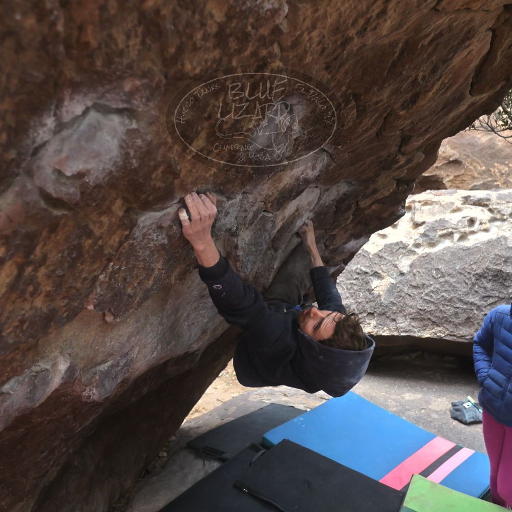 Filename: SRM_20230115_1459560.jpg
Aperture: f/4.0
Shutter Speed: 1/320
Body: Canon EOS R6
Lens: Canon EF 16-35mm f/2.8 L