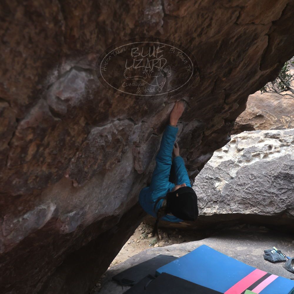 

Filename: SRM_20230115_1502550.jpg
Aperture: f/4.0
Shutter Speed: 1/320
Body: Canon EOS R6
Lens: Canon EF 16-35mm f/2.8 L