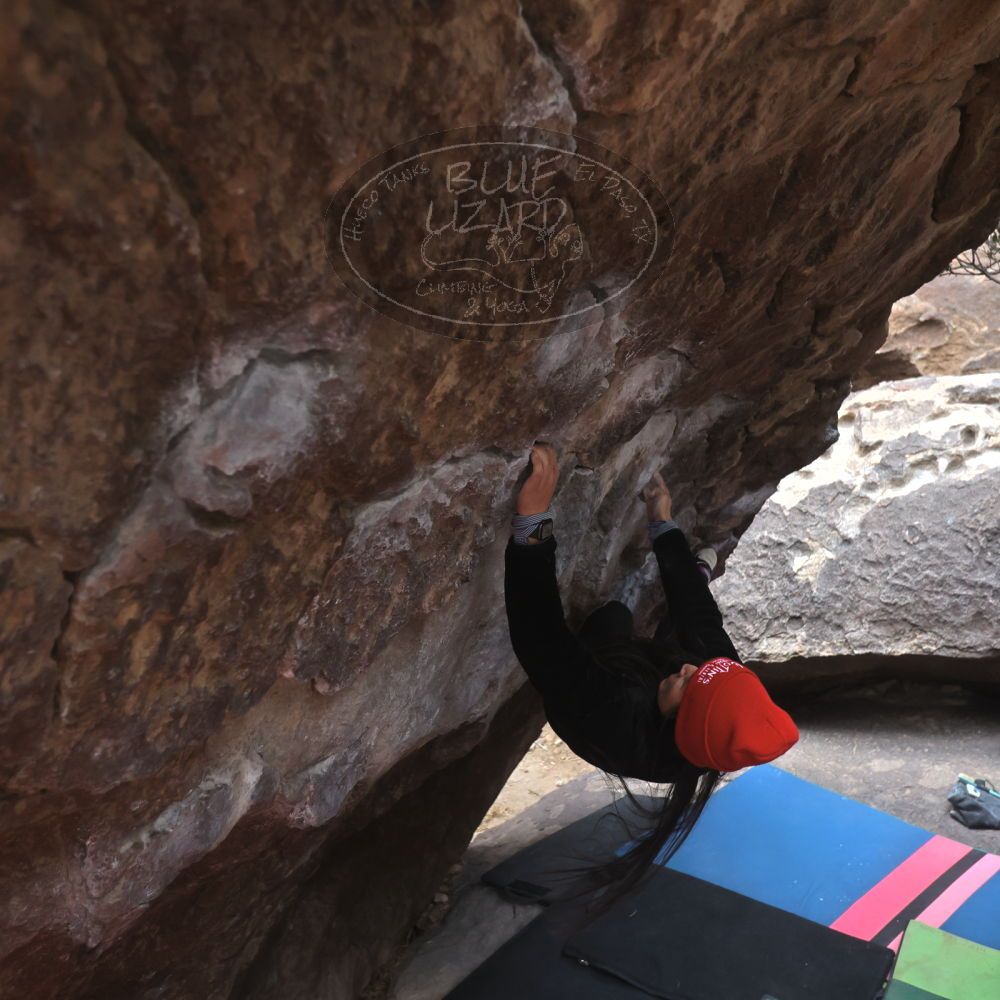 Filename: SRM_20230115_1505341.jpg
Aperture: f/4.0
Shutter Speed: 1/320
Body: Canon EOS R6
Lens: Canon EF 16-35mm f/2.8 L