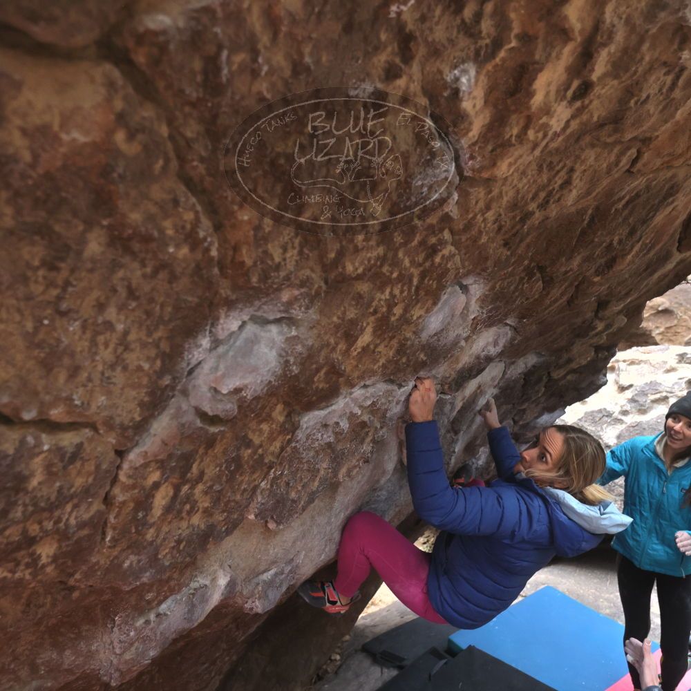 

Filename: SRM_20230115_1508380.jpg
Aperture: f/4.0
Shutter Speed: 1/320
Body: Canon EOS R6
Lens: Canon EF 16-35mm f/2.8 L