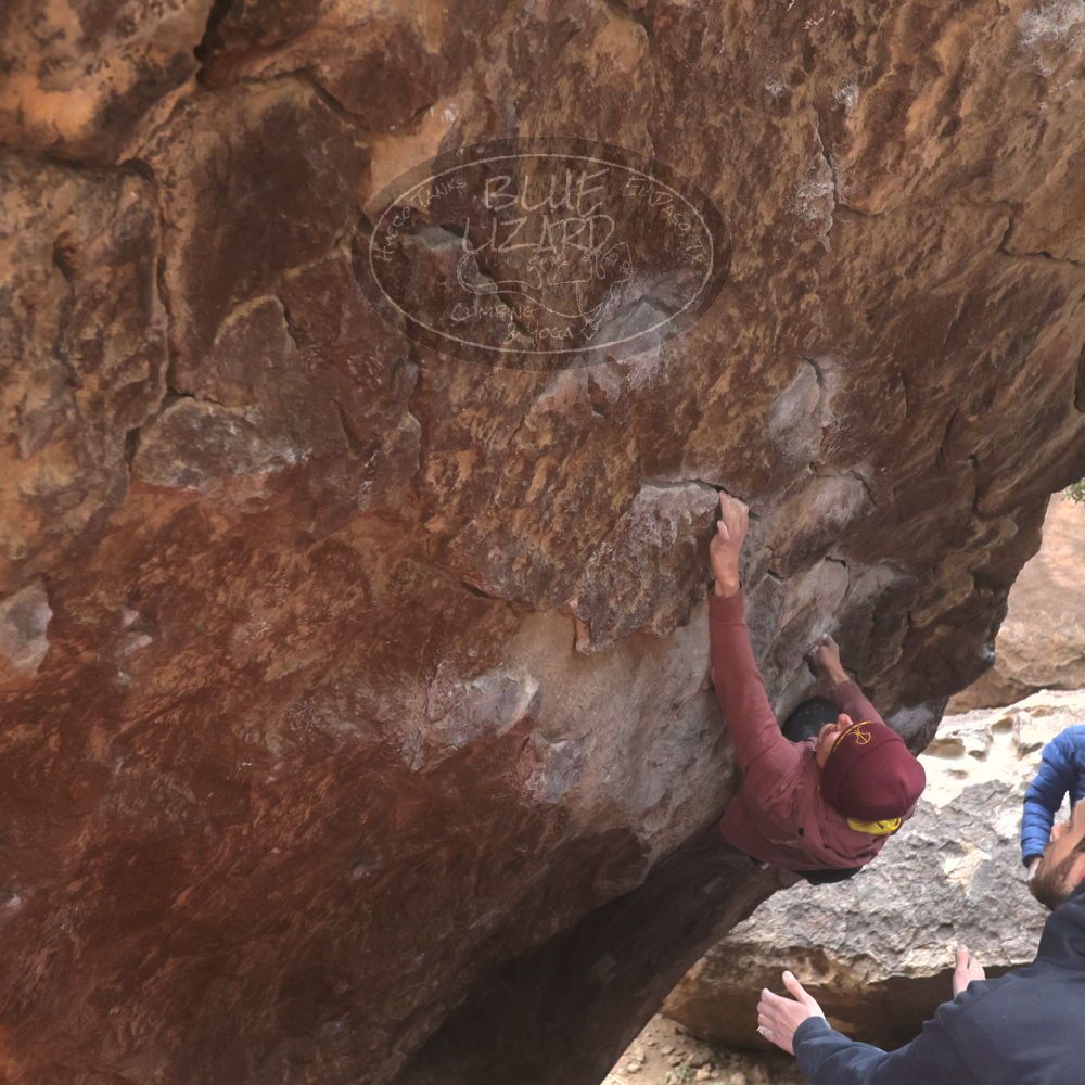 

Filename: SRM_20230115_1510180.jpg
Aperture: f/4.0
Shutter Speed: 1/320
Body: Canon EOS R6
Lens: Canon EF 16-35mm f/2.8 L