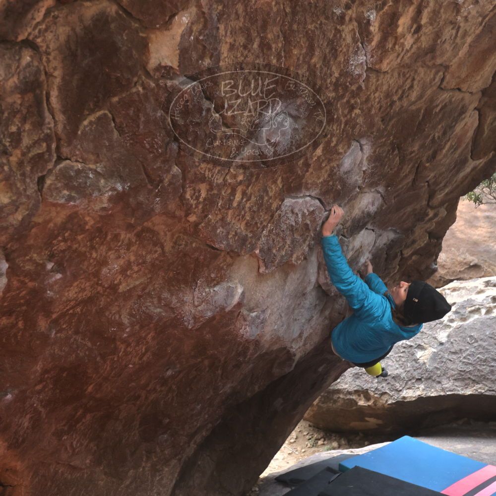 

Filename: SRM_20230115_1512160.jpg
Aperture: f/4.0
Shutter Speed: 1/320
Body: Canon EOS R6
Lens: Canon EF 16-35mm f/2.8 L