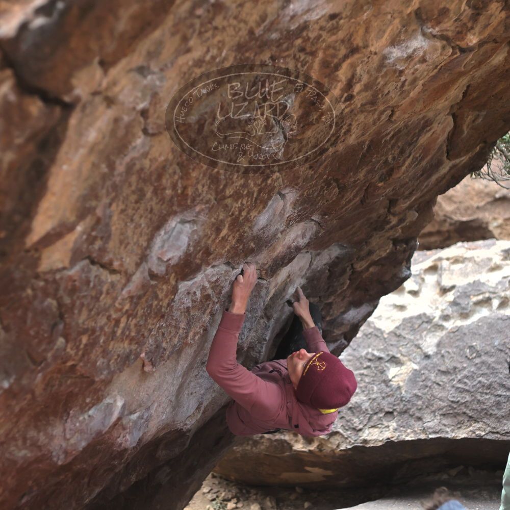 

Filename: SRM_20230115_1514420.jpg
Aperture: f/2.8
Shutter Speed: 1/320
Body: Canon EOS R6
Lens: Canon EF 50mm f/1.8 II