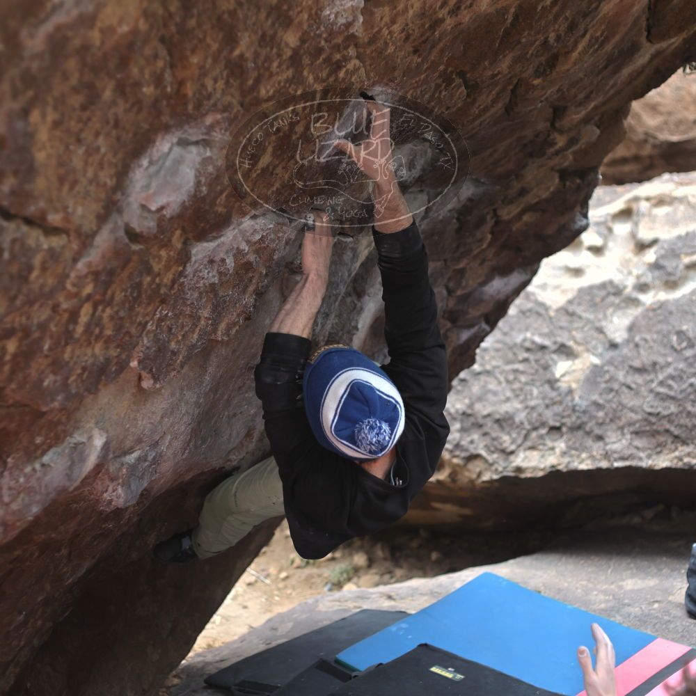 Filename: SRM_20230115_1522040.jpg
Aperture: f/2.8
Shutter Speed: 1/320
Body: Canon EOS R6
Lens: Canon EF 50mm f/1.8 II