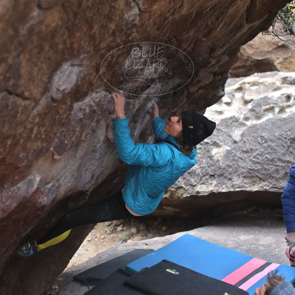 

Filename: SRM_20230115_1530561.jpg
Aperture: f/2.8
Shutter Speed: 1/320
Body: Canon EOS R6
Lens: Canon EF 50mm f/1.8 II