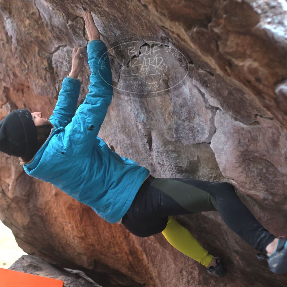 Filename: SRM_20230115_1542100.jpg
Aperture: f/2.8
Shutter Speed: 1/320
Body: Canon EOS R6
Lens: Canon EF 50mm f/1.8 II