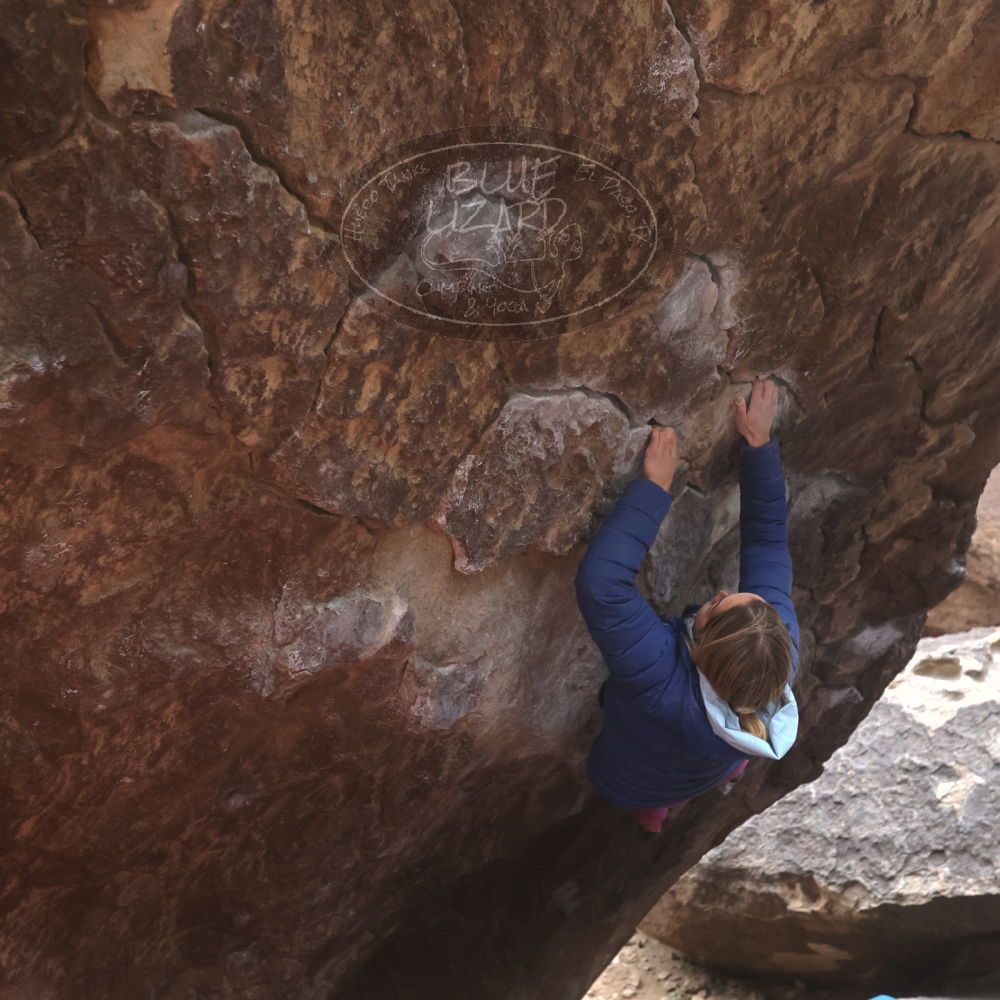 Filename: SRM_20230115_1548000.jpg
Aperture: f/4.0
Shutter Speed: 1/250
Body: Canon EOS R6
Lens: Canon EF 16-35mm f/2.8 L