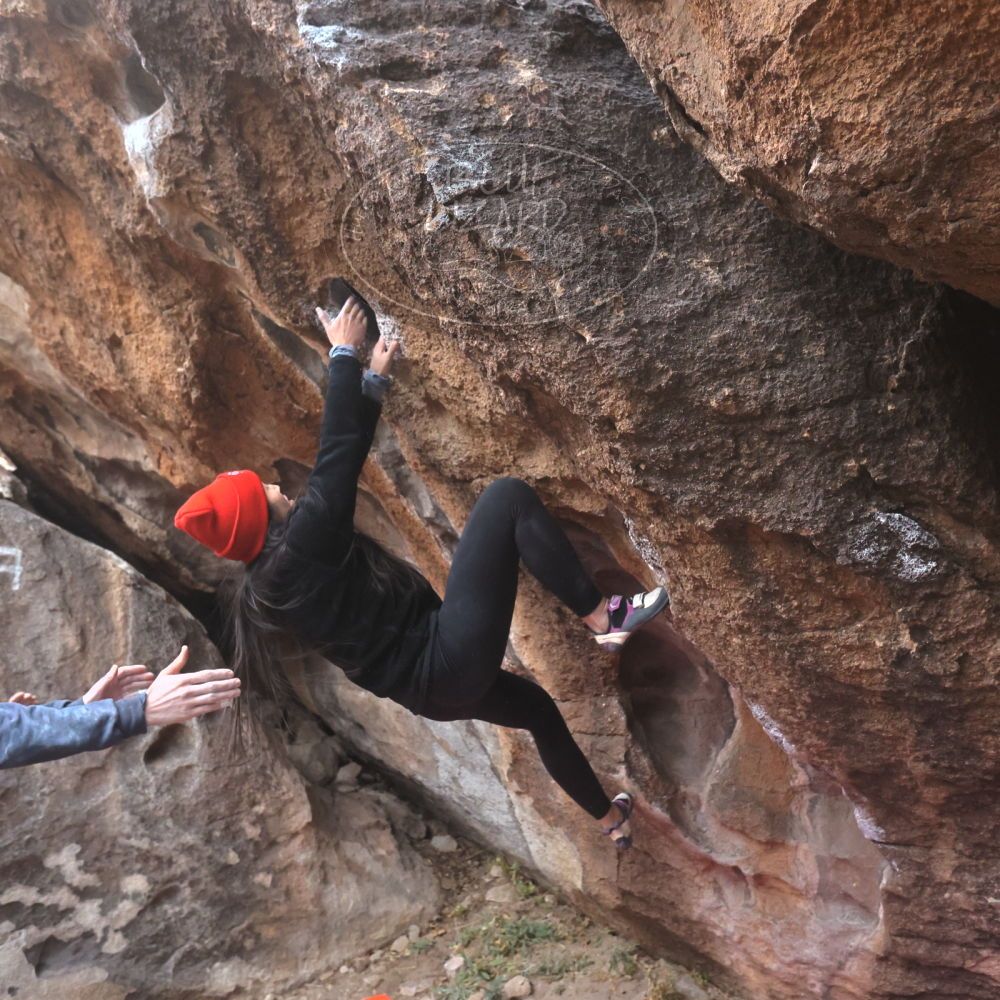 Filename: SRM_20230115_1624550.jpg
Aperture: f/4.0
Shutter Speed: 1/250
Body: Canon EOS R6
Lens: Canon EF 16-35mm f/2.8 L