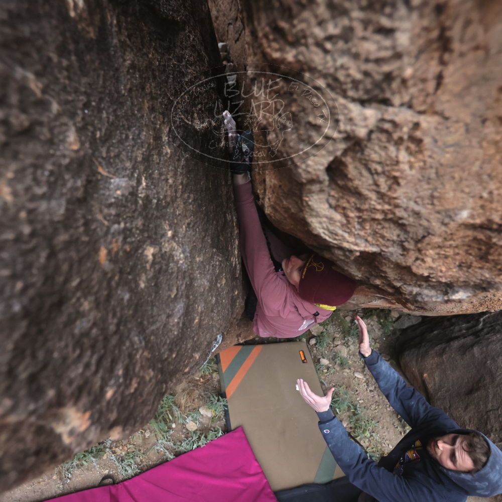 

Filename: SRM_20230115_1626580.jpg
Aperture: f/4.0
Shutter Speed: 1/250
Body: Canon EOS R6
Lens: Canon EF 16-35mm f/2.8 L