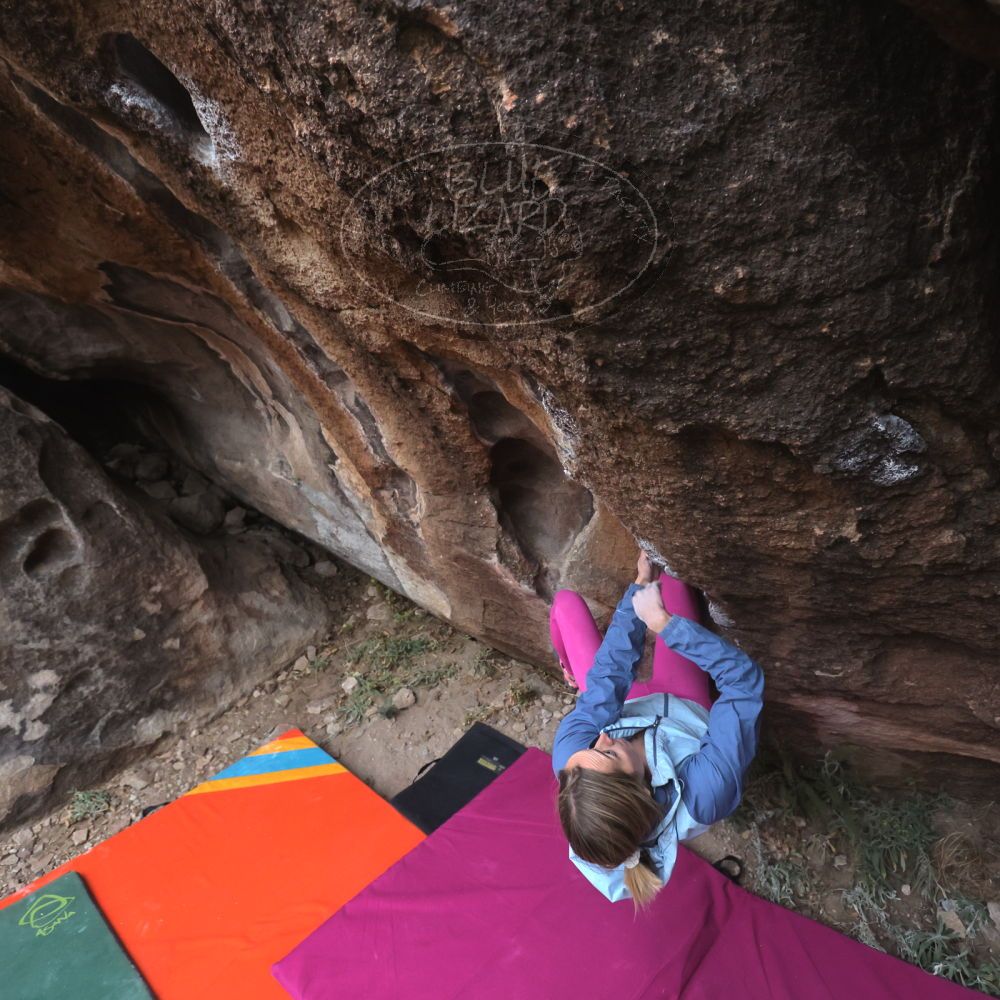 

Filename: SRM_20230115_1629000.jpg
Aperture: f/4.0
Shutter Speed: 1/320
Body: Canon EOS R6
Lens: Canon EF 16-35mm f/2.8 L