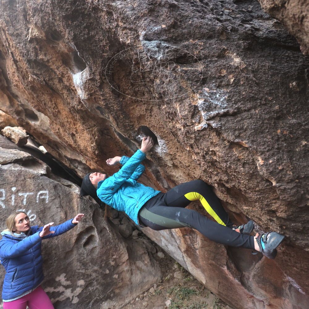 

Filename: SRM_20230115_1634280.jpg
Aperture: f/4.0
Shutter Speed: 1/250
Body: Canon EOS R6
Lens: Canon EF 16-35mm f/2.8 L