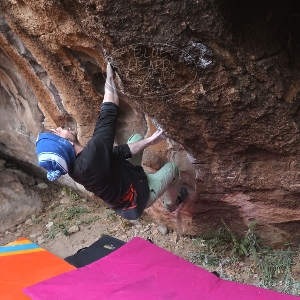 Filename: SRM_20230115_1636000.jpg
Aperture: f/4.0
Shutter Speed: 1/250
Body: Canon EOS R6
Lens: Canon EF 16-35mm f/2.8 L