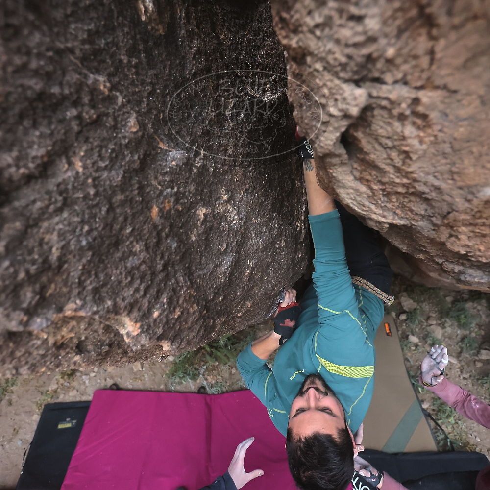 Filename: SRM_20230115_1637430.jpg
Aperture: f/4.0
Shutter Speed: 1/250
Body: Canon EOS R6
Lens: Canon EF 16-35mm f/2.8 L