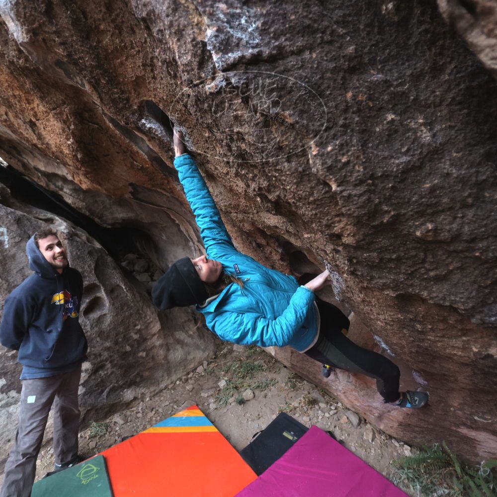 Filename: SRM_20230115_1650350.jpg
Aperture: f/2.8
Shutter Speed: 1/250
Body: Canon EOS R6
Lens: Canon EF 16-35mm f/2.8 L