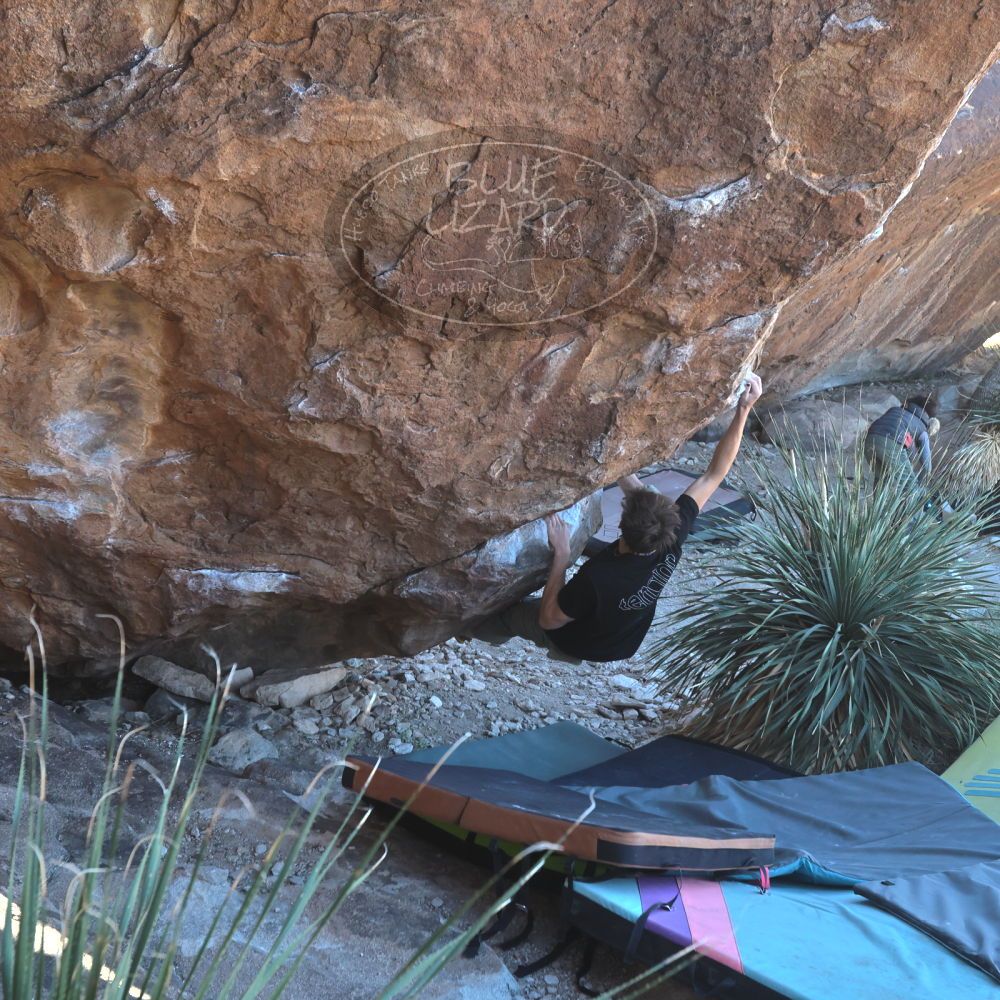 

Filename: SRM_20230122_1104530.jpg
Aperture: f/5.6
Shutter Speed: 1/400
Body: Canon EOS R6
Lens: Canon EF 16-35mm f/2.8 L