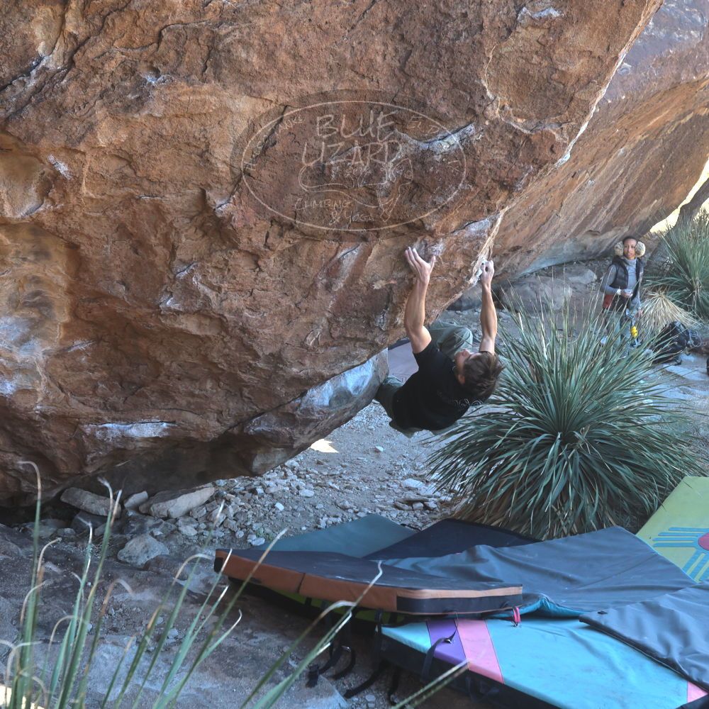 

Filename: SRM_20230122_1104550.jpg
Aperture: f/5.6
Shutter Speed: 1/400
Body: Canon EOS R6
Lens: Canon EF 16-35mm f/2.8 L